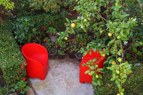 Photo of property in 10 Calliope Road, Devonport, Auckland, 0624