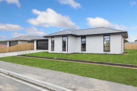 Photo of property in 54 Ashbury Drive, Tinwald, 7774