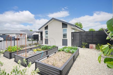 Photo of property in 2 Matamata Quay, Pegasus, 7612