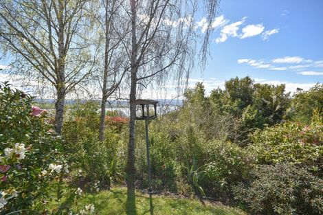 Photo of property in 9 Sandhead Street, Waihola, Milton, 9073