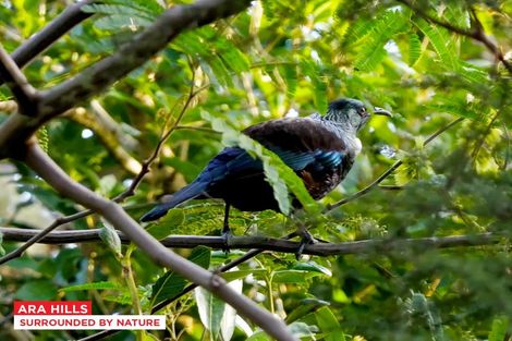 Photo of property in 1 Kauru Lane, Wainui, 0992