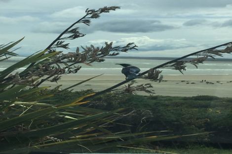 Photo of property in 172 Mokomoko Road, Omaui, Invercargill, 9877