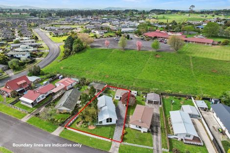 Photo of property in 59 Sinclair Terrace, Te Awamutu, 3800