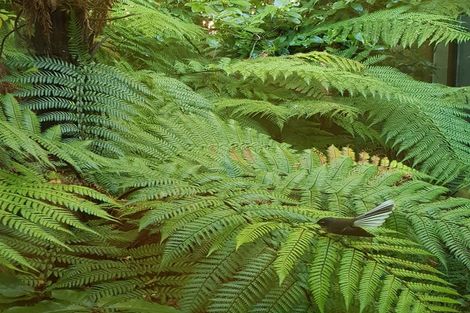 Photo of property in 44 Marama Avenue North, Otatara, Invercargill, 9879