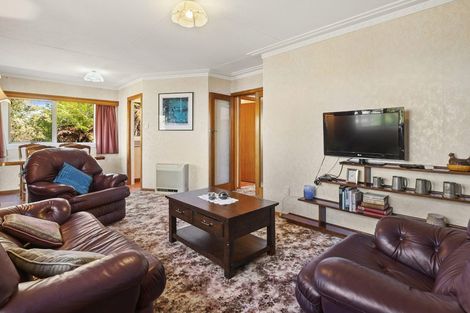 Photo of property in 53 English Avenue, Mornington, Dunedin, 9011