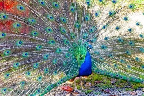 Photo of property in 365 Mill Creek Road, Kaimarama, Whitianga, 3591