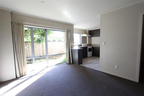 Photo of property in 46d York Street, Hamilton East, Hamilton, 3216