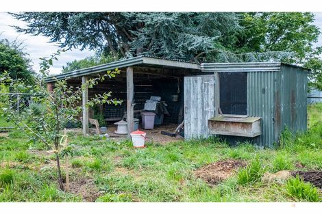 Photo of property in 48 Allan Street, Waimate, 7924
