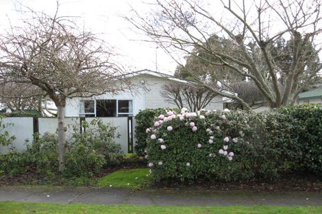 Photo of property in 19 Takahe Street, Masterton, 5810