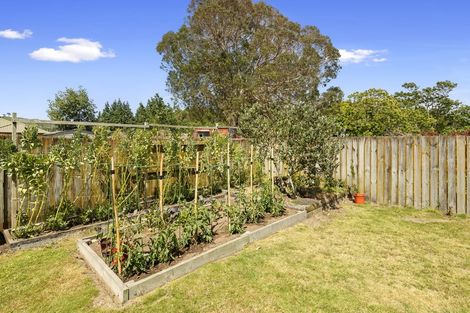 Photo of property in 8 Mcleod Place, Papamoa Beach, Papamoa, 3118