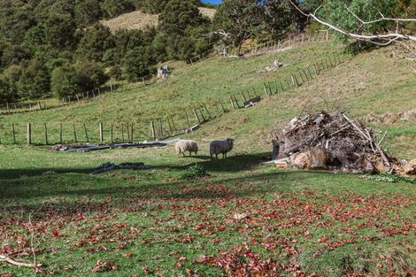 Photo of property in 164 Hill Road, Eskdale, Napier, 4182