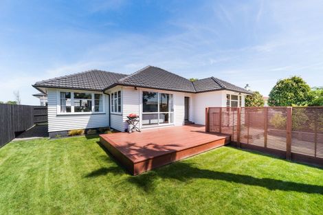 Photo of property in 51 Highbury Avenue, Highbury, Palmerston North, 4412