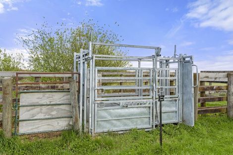 Photo of property in 672 Jary Road, Ohaupo, Cambridge, 3495