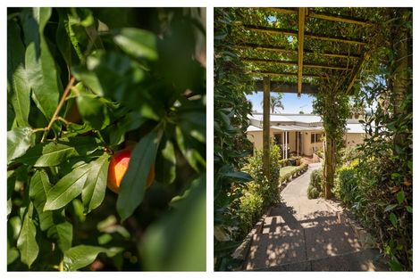 Photo of property in 24 Sawmill Road, Thames, 3578