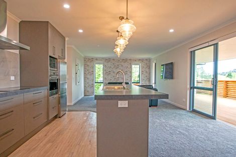 Photo of property in 23 Thurso Street, Lawrence, 9532