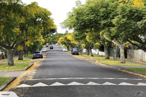 Photo of property in 51 Calgary Street, Mount Eden, Auckland, 1041
