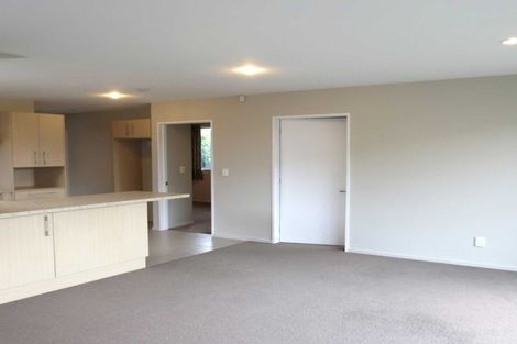 Photo of property in 48b North Avon Road, Richmond, Christchurch, 8013