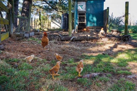 Photo of property in 2114 State Highway 56, Longburn, Palmerston North, 4477