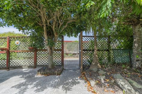Photo of property in 7 Springbok Avenue, Whitianga, 3510
