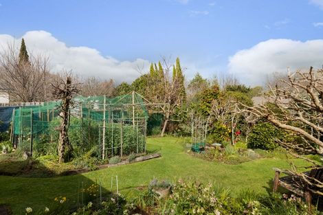 Photo of property in 63 Willoughby Street, Paeroa, 3600