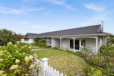 Photo of property in 3 Chestnut Court, Havelock North, 4130