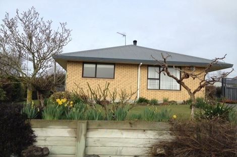 Photo of property in 91 Michael Street, Rakaia, 7710