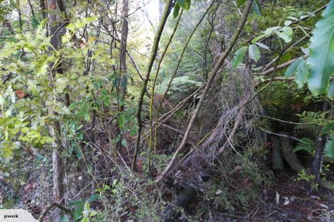 Photo of property in 1455 Port Charles Road, Port Charles, Coromandel, 3584