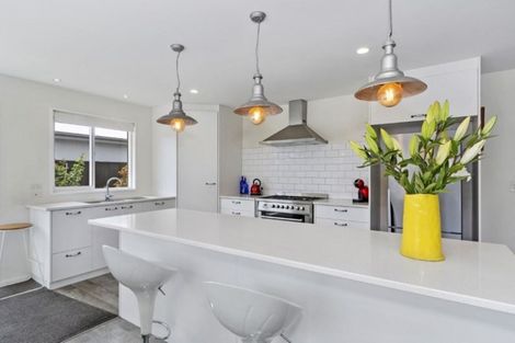 Photo of property in 93 Te Rito Street, Marshland, Christchurch, 8083