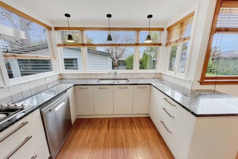 Photo of property in 17 Roosevelt Avenue, St Albans, Christchurch, 8014