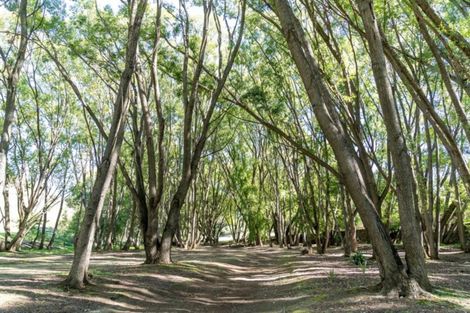 Photo of property in Cairnmuir Road, Nevis, Cromwell, 9384