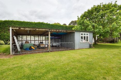 Photo of property in 130 Parewanui Road, Bulls, 4894