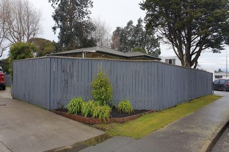 Photo of property in 171 Ward Street, Hargest, Invercargill, 9810