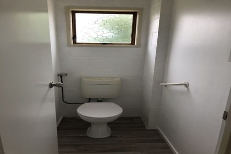 Photo of property in 59 Wellington Street, Hamilton East, Hamilton, 3216