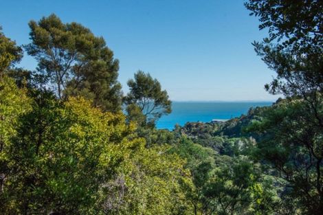 Photo of property in 31 Trotter Avenue, Waiomu, Thames, 3575