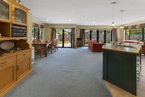 Photo of property in 21 Templemore Drive, Richmond, 7020