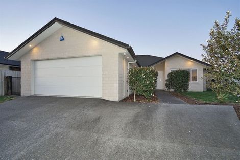 Photo of property in 12 Vanquish Place, Flagstaff, Hamilton, 3210