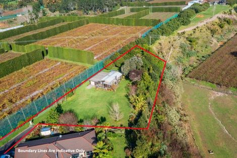 Photo of property in 3 Donelle Place, Te Puke, 3119