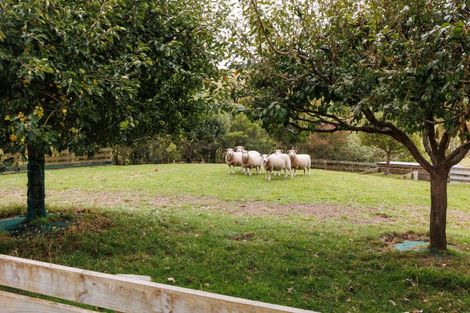 Photo of property in 1141 Makino Road, Halcombe, Feilding, 4777