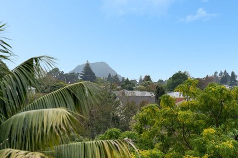 Photo of property in 47 Harrier Street, Parkvale, Tauranga, 3112