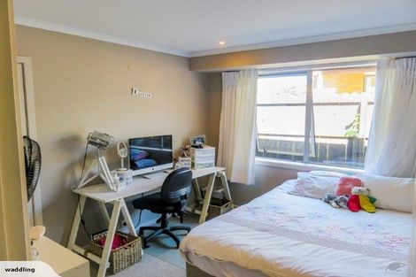 Photo of property in 17 Thomas Moore Place, Pukekohe, 2120