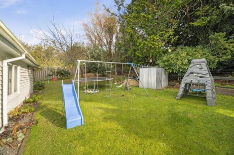 Photo of property in 5 Junction Street, Putaruru, 3411