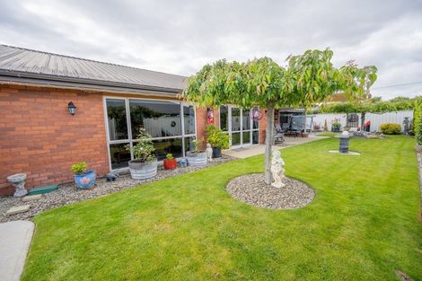 Photo of property in 29 Larch Crescent, Alexandra, 9320