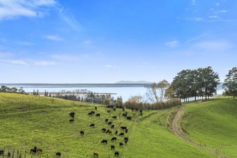 Photo of property in 76 Stewart Road, Whakamarama, Katikati, 3181