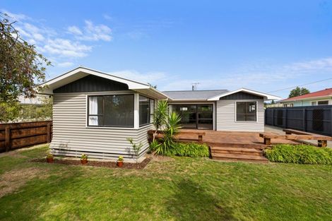 Photo of property in 22 Litchfield Street, Redwoodtown, Blenheim, 7201