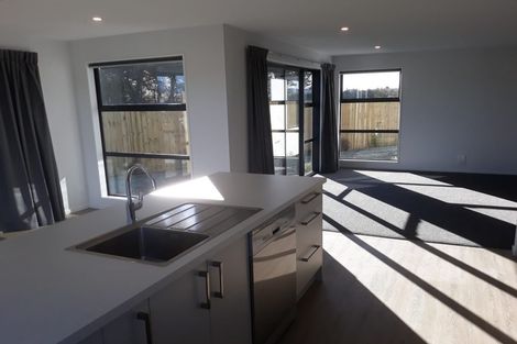 Photo of property in 41 William Nicholls Drive, Belfast, Christchurch, 8051