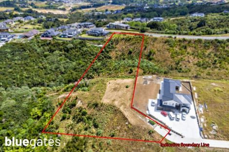 Photo of property in 19 Kanuka Road, Hobsonville, Auckland, 0616