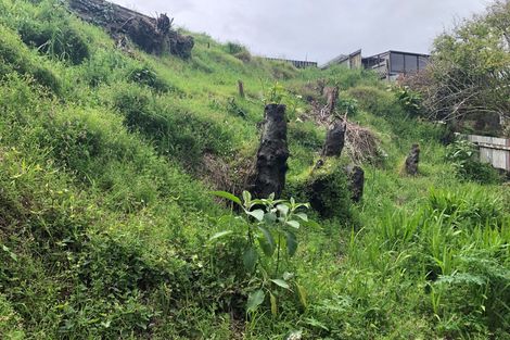 Photo of property in 466a Carrington Street, Upper Vogeltown, New Plymouth, 4310