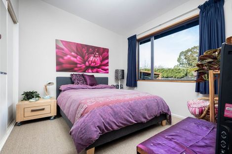 Photo of property in 29 Brook Street, Southbridge, 7602