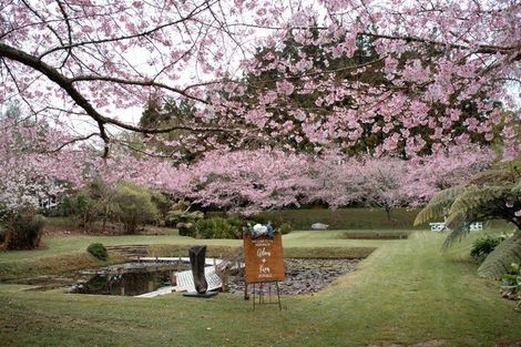 Photo of property in 441 Pukekauri Road, Waihi, 3682