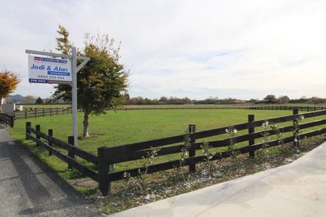 Photo of property in 24 Eldonwood Drive, Matamata, 3400